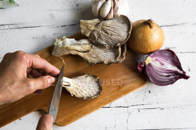 Imagen de la cosecha de manos rebanando hongos pleurotus con cuchillo sobre tabla de madera con cebolla y ajo sobre mesa blanca - foto de stock