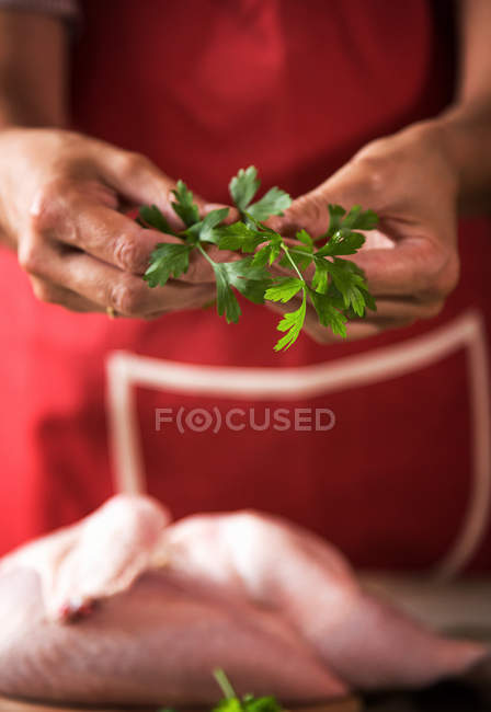 Close-up of woman preparing chicken for roasting with parsley — Stock Photo