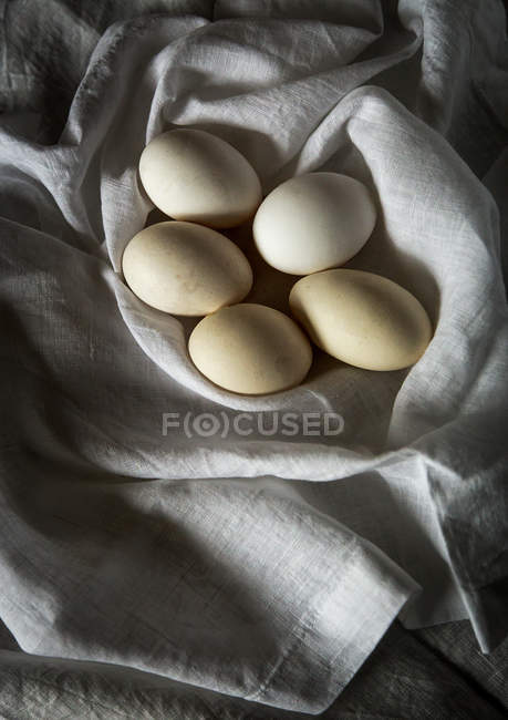 Huevos de pollo blancos en toalla - foto de stock