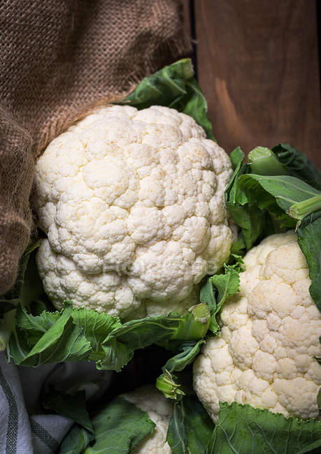 Close-up of fresh picked cauliflowers in heap — Stock Photo