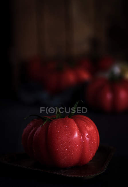 Tomates rojos con gotas de agua - foto de stock