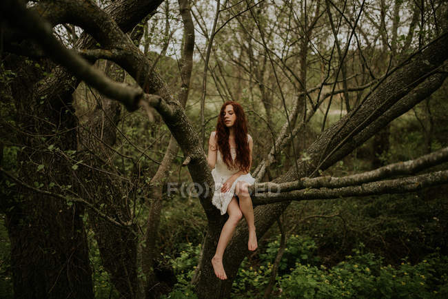 Ragazza zenzero in posa sulla piegatura sopra ramo albero terra e guardando altrove — Foto stock