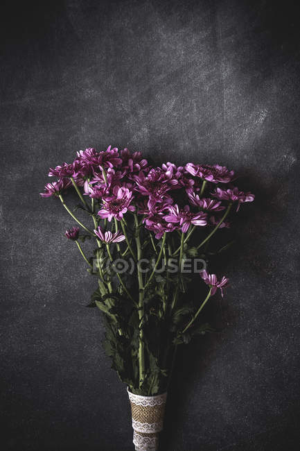 Top view of pink chamomiles bunch tied with lace on stone surface — Stock Photo