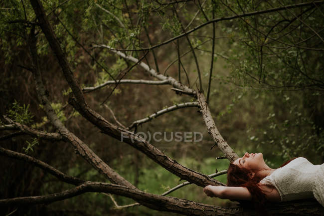 Куст расслабленной девушки, лежащей на ветке дерева — стоковое фото