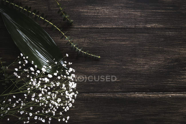 Vista dall'alto del ramo con piccoli fiori bianchi su sfondo di legno — Foto stock