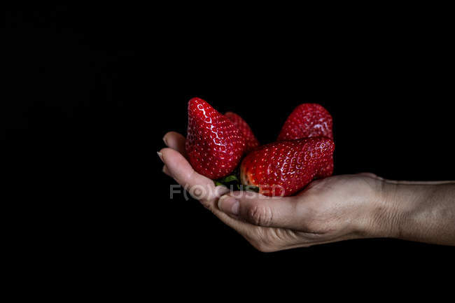 Hand holding strawberries — Stock Photo