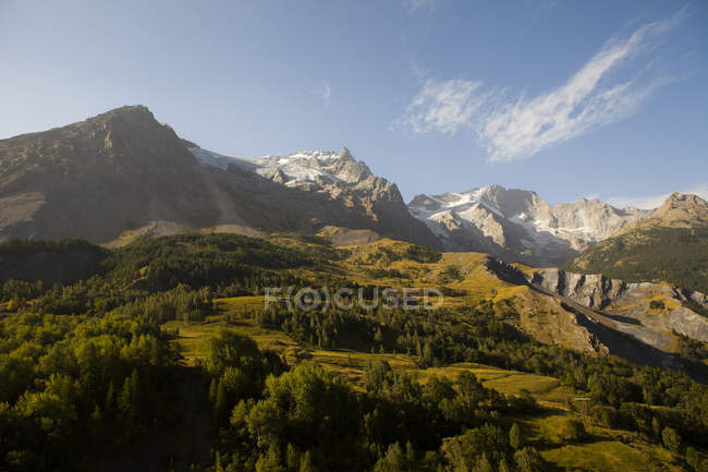 Berge mit Gras und Bäumen bedeckt — Stockfoto
