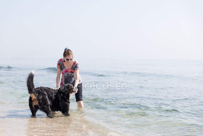 Happy woman playing with dog on beach — Stock Photo