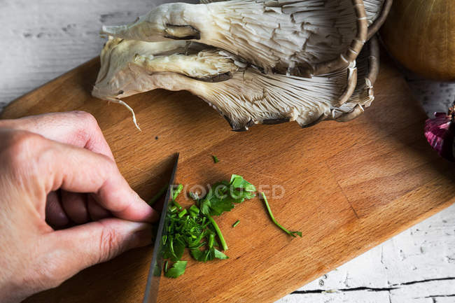 Sopra vista delle mani affettare foglie di prezzemolo con coltello a bordo con funghi pleurotus — Foto stock