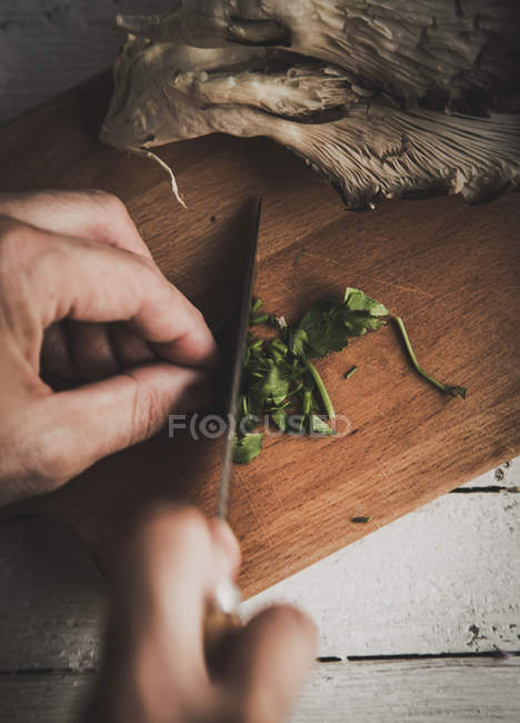 Vista superior de las manos rebanando hojas de perejil a bordo con hongos pleurotus - foto de stock