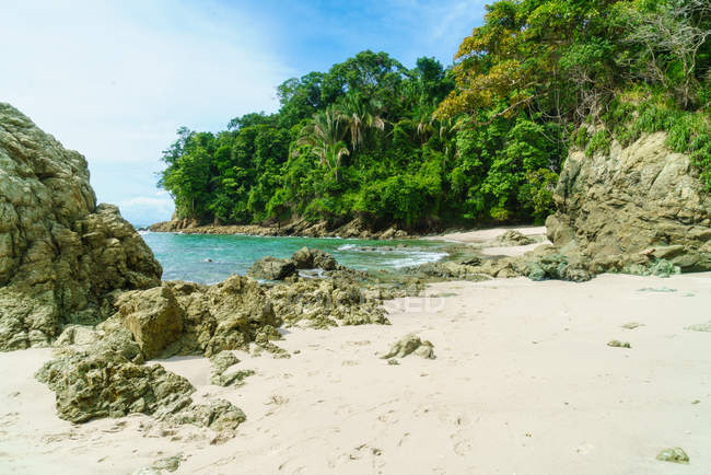 Spiaggia tropicale di sabbia in una giornata idilliaca — Foto stock