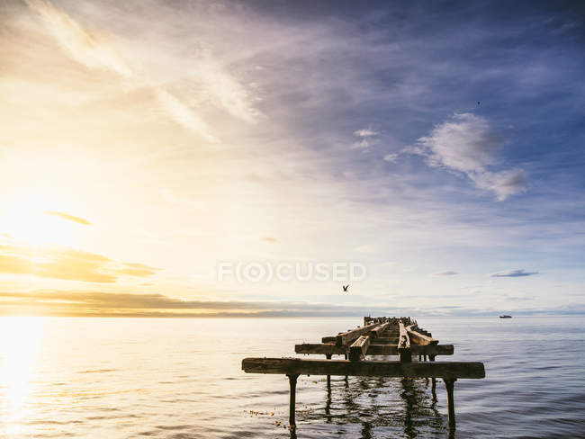 Seascape with bird flying over ruined pier — Stock Photo