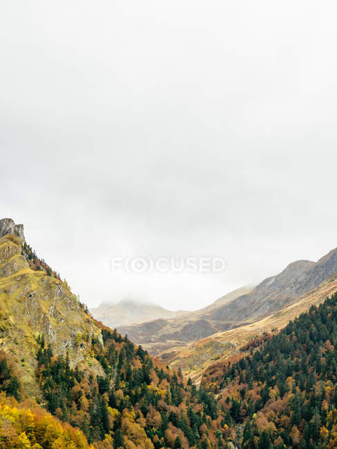 Perspective view of longvalley with coniferous woods between mountains ranges. — Stock Photo