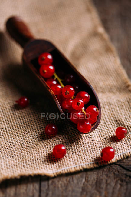 Grosella roja en cuchara de madera - foto de stock