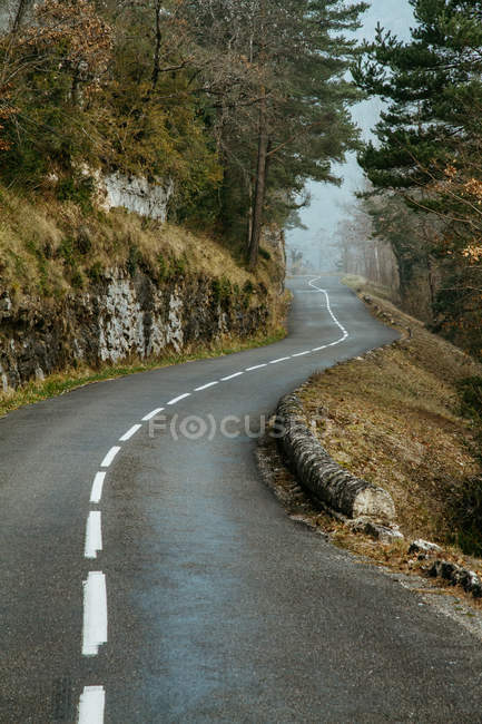 Vista sulla sottile strada asfaltata che attraversa la foresta in collina
. — Foto stock