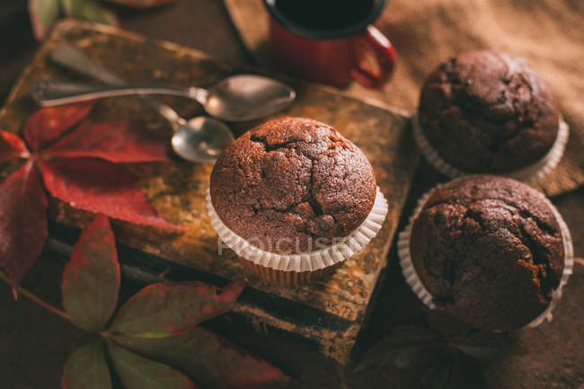 Muffins au chocolat avec feuillage sur livre vintage — Photo de stock
