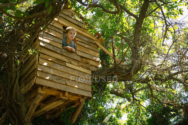 Vue du bas du garçon blond regardant par la fenêtre en bois de la cabane dans les arbres le jour ensoleillé — Photo de stock