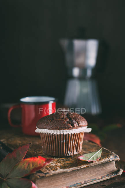 Muffin au chocolat avec feuillage sur livre vintage — Photo de stock