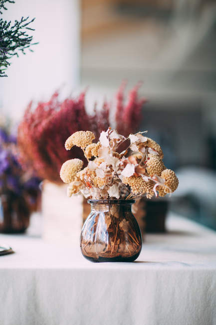Сушені квіти у вазі — стокове фото