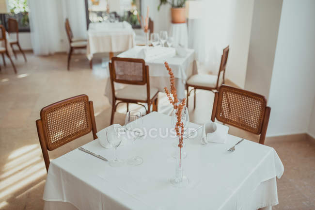 Branch in vase on restaurant table — Stock Photo