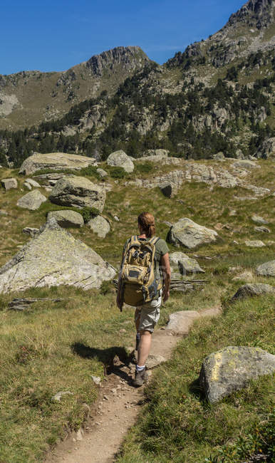 Rückansicht einer Ingwerfrau, die im Sommer durch das Tal wandert — Stockfoto