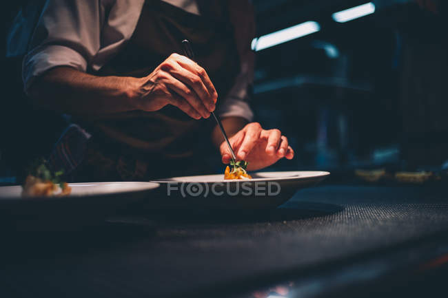 Vista da vicino delle mani dello chef che decorano piatti speciali . — Foto stock