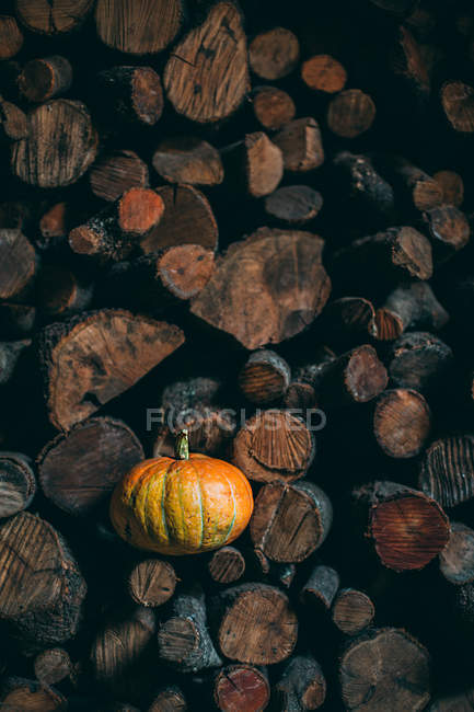 Zucca arancione su mucchio di legna da ardere — Foto stock