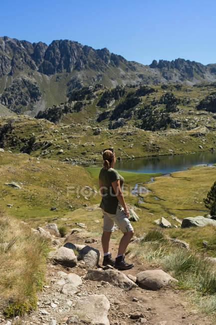 Вид ззаду на імбирну жінку, що позує долину влітку — стокове фото