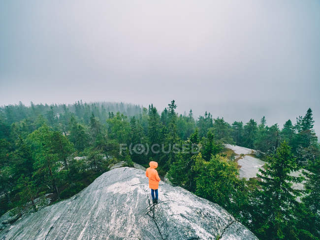 Турист на скелі захоплюючий вид на ліс — стокове фото