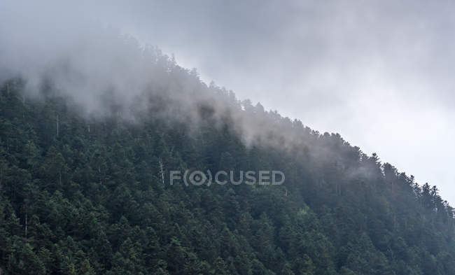 Vista à distância da nuvem nebulosa acima das florestas na encosta das colinas — Fotografia de Stock