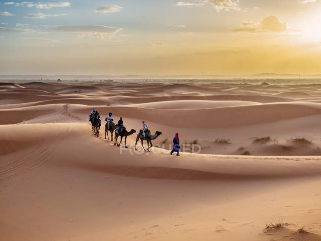 Караван, идущий по пустыне — стоковое фото