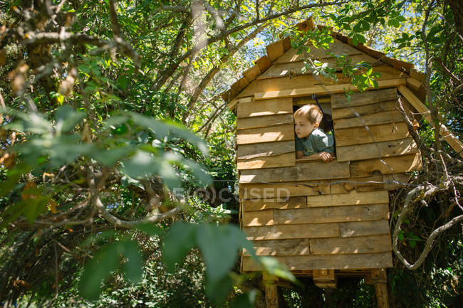 Vue du bas du garçon blond regardant par la fenêtre en bois de la cabane dans les arbres le jour ensoleillé — Photo de stock