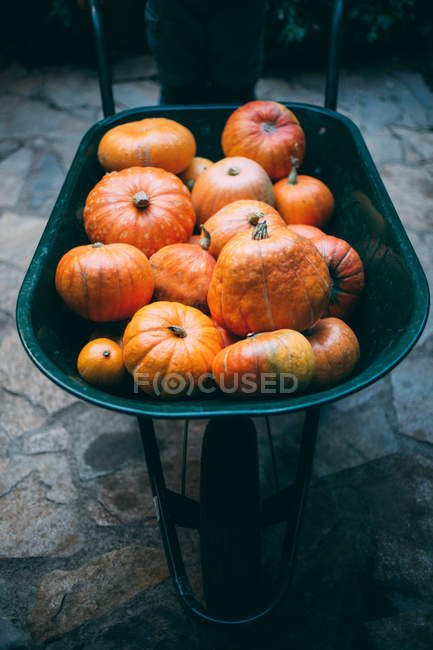 Pumpkins in wheelbarrow — Stock Photo