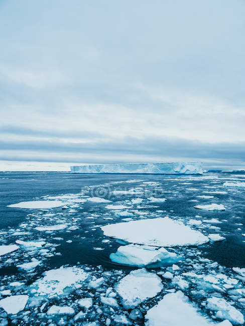 Трещины льда, плавающие в воде — стоковое фото