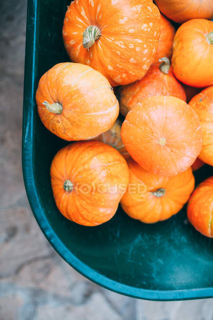 Pile of pumpkins in wheelbarrow — Stock Photo