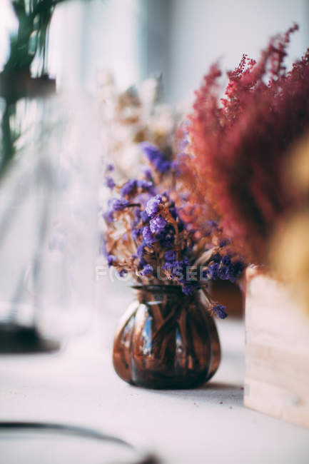 Fleurs séchées dans un vase — Photo de stock
