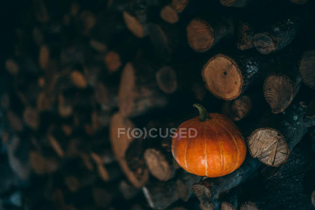 Kürbis in einem Haufen Feuerholz — Stockfoto