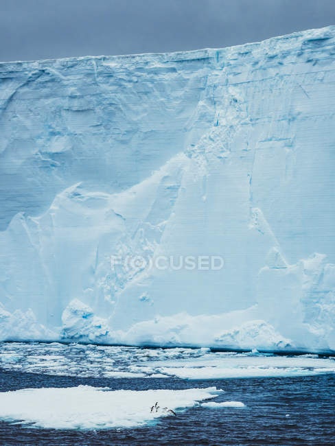 Muro del glaciar en el mar - foto de stock