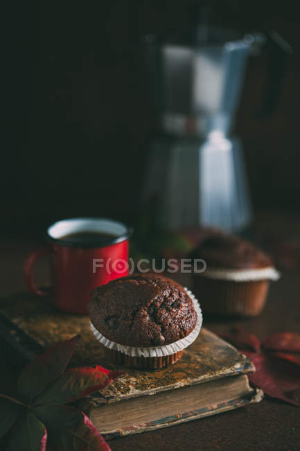Chocolate muffins with foliage on vintage book — Stock Photo