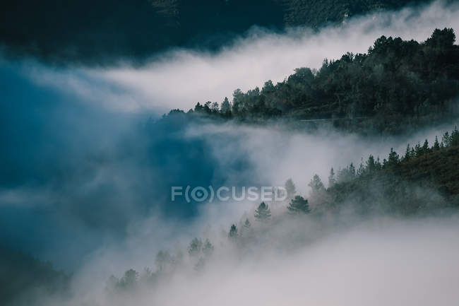 Paesaggio di colline ricoperte di boschi tra nuvole di nebbia — Foto stock