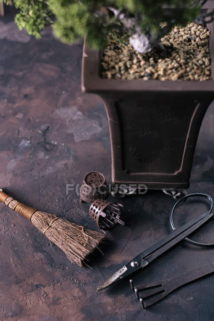Bonsai utensili per la cura su tavolo in pietra — Foto stock