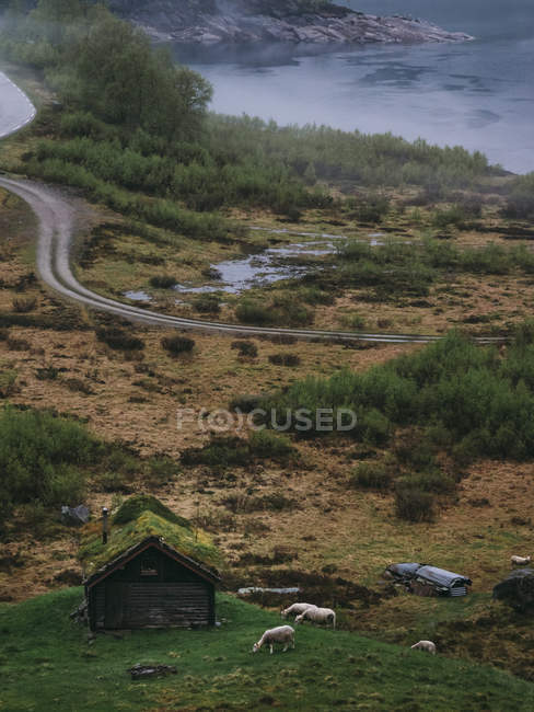House in remote area — Stock Photo