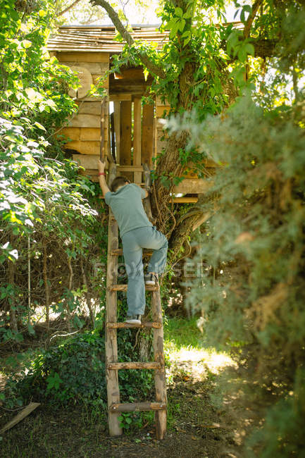 Visão traseira da escada de escalada do menino loiro na casa da árvore no dia ensolarado — Fotografia de Stock