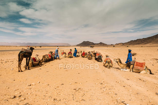 Караван, відпочиваючи в пустелі — стокове фото