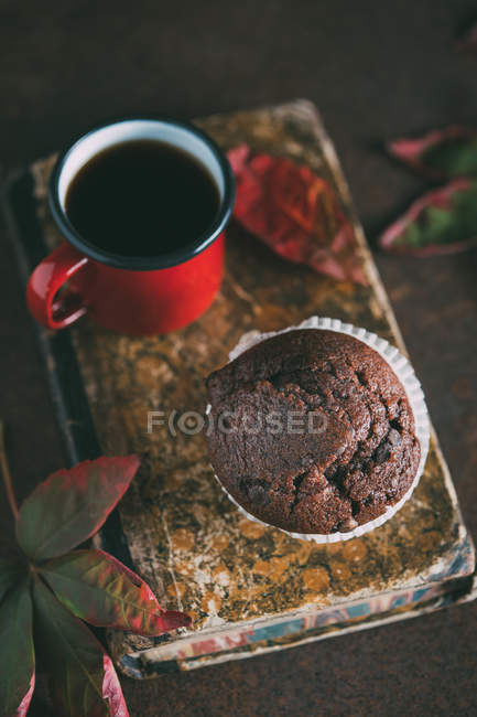 Шоколадный кекс с листьями на винтажной книге — стоковое фото