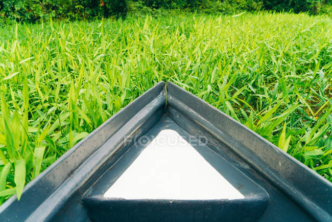Ernteboot zwischen grünem Gras in den Tropen — Stockfoto