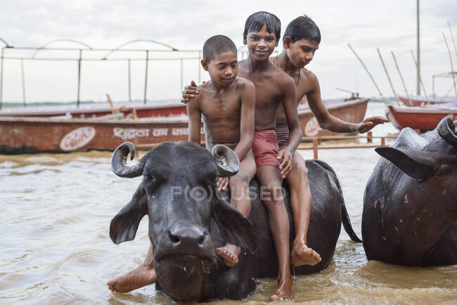 Sorrindo meninos indianos montando em um touro no rio juntos. — Fotografia de Stock
