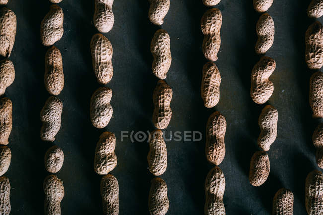 Vista superior de cacahuetes sin cáscara en filas - foto de stock
