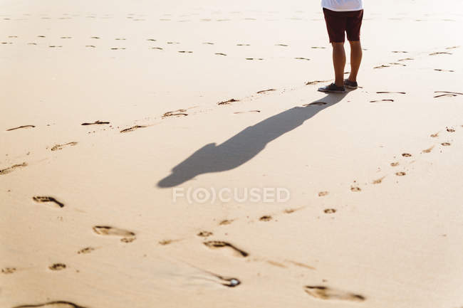 Erntehelfer steht am nassen Sandstrand. — Stockfoto