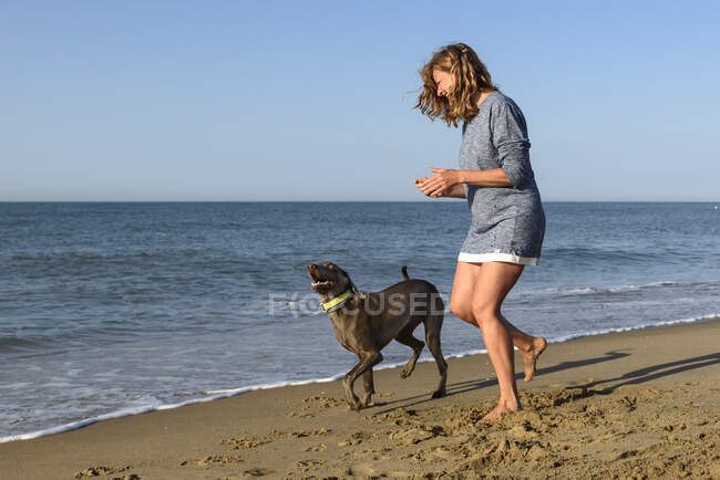 Adult woman playing with dog on beach — Stock Photo
